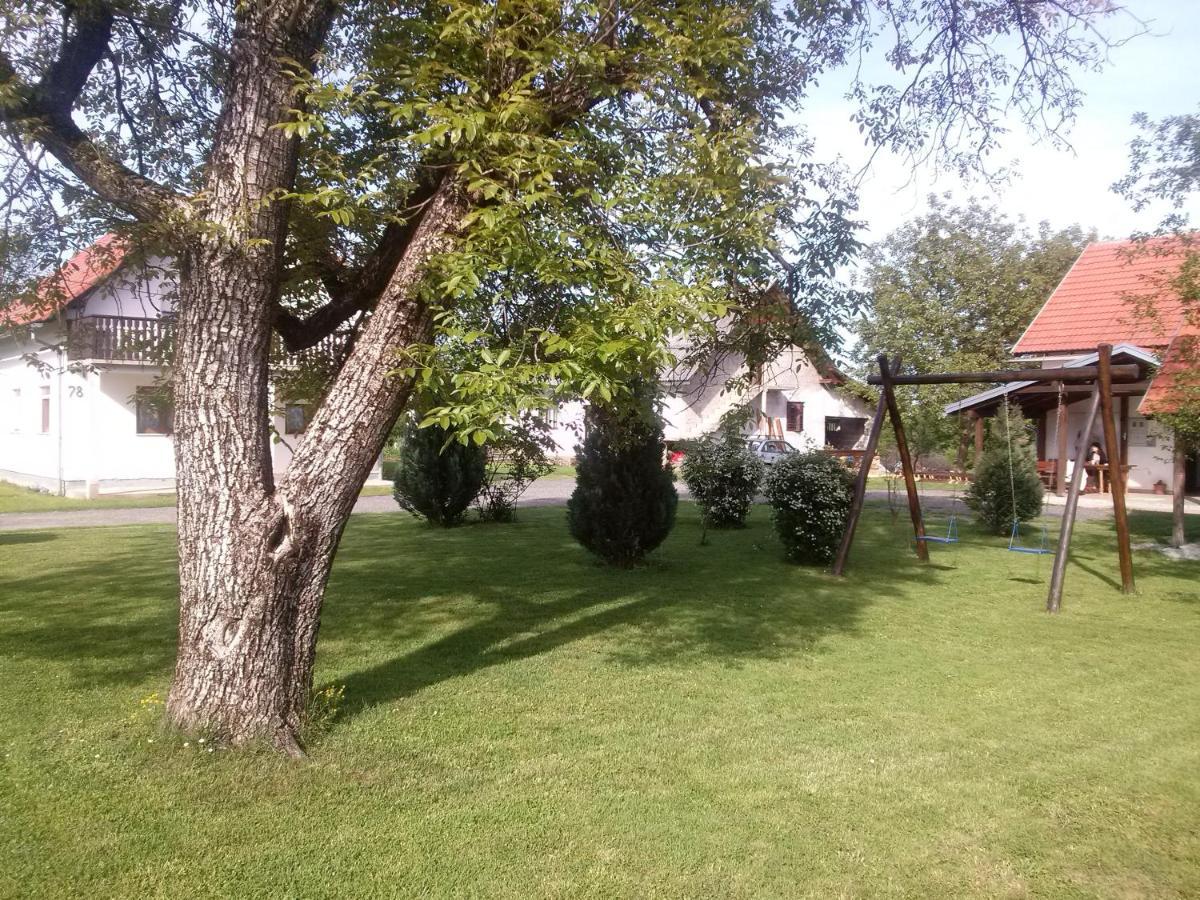 Apartments With A Parking Space Smoljanac, Plitvice - 12345 외부 사진